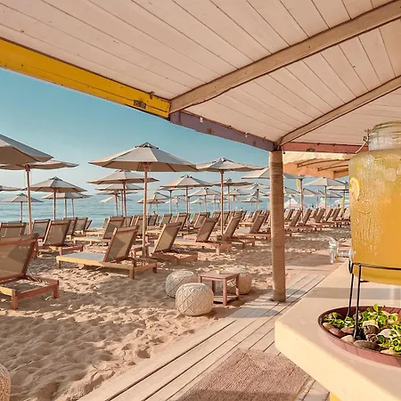 Grifid Metropol (adults Only) 4* Altın Kumlar